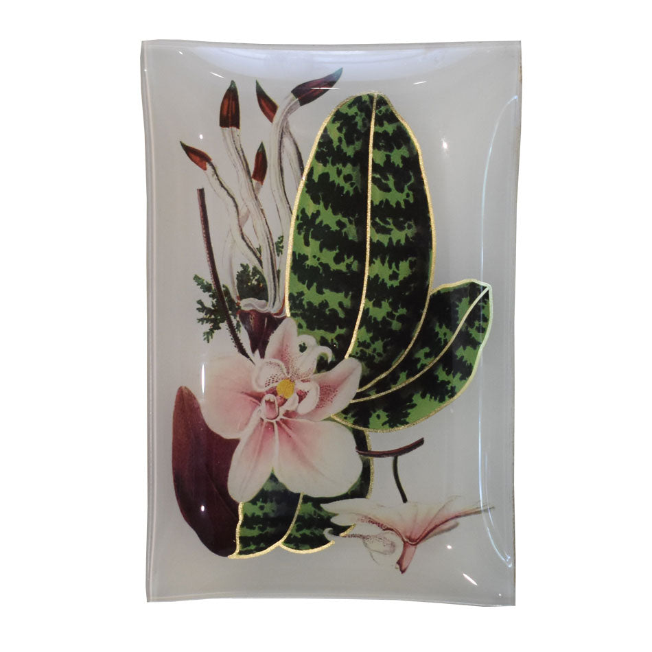 Butterfly Trinket Tray