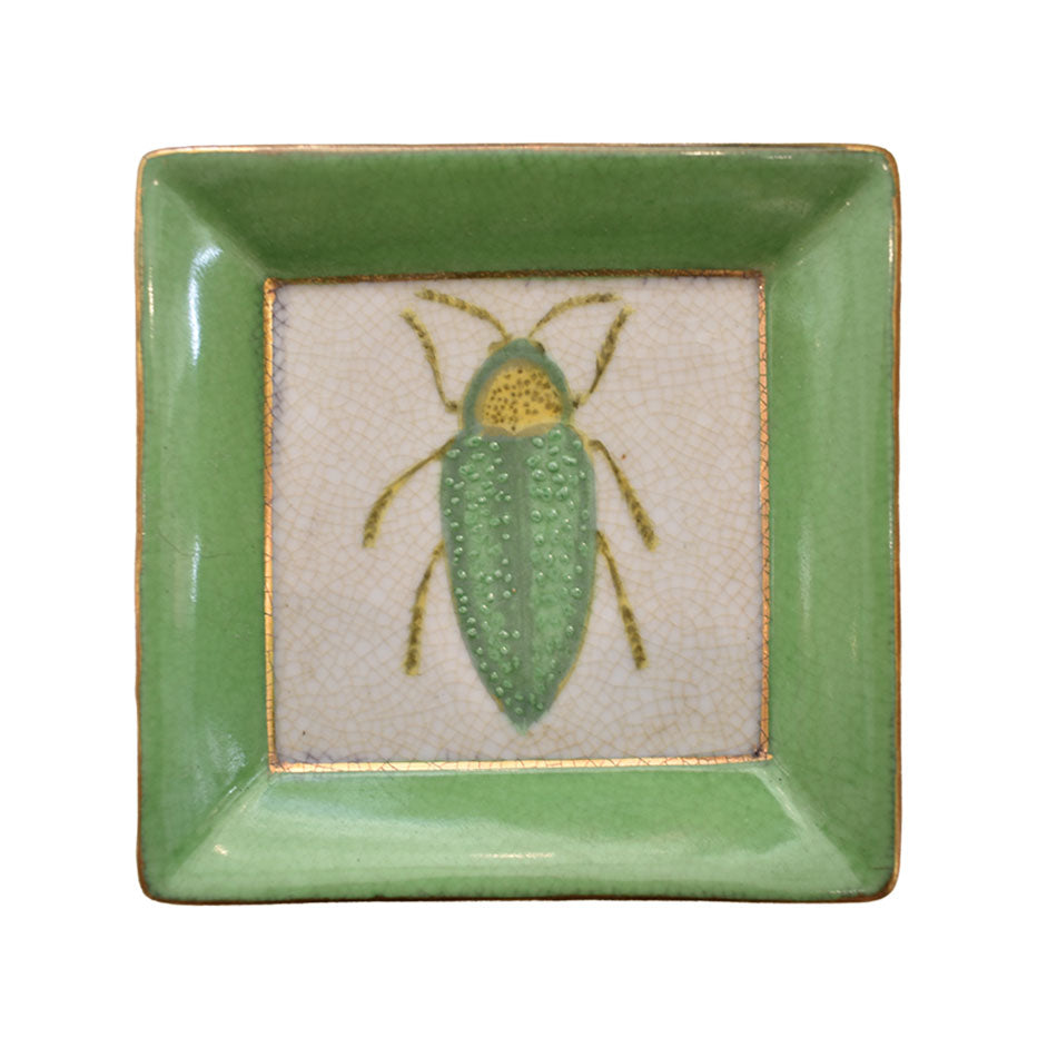 Exotica Wall Plate - Buprestis