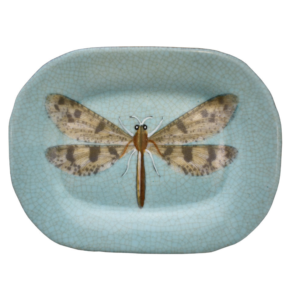 Paradiso Dish Libelle PARA101