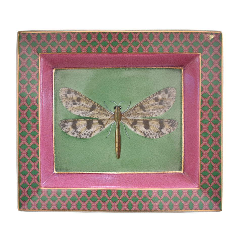 Paradiso Wall Plate - Libelula