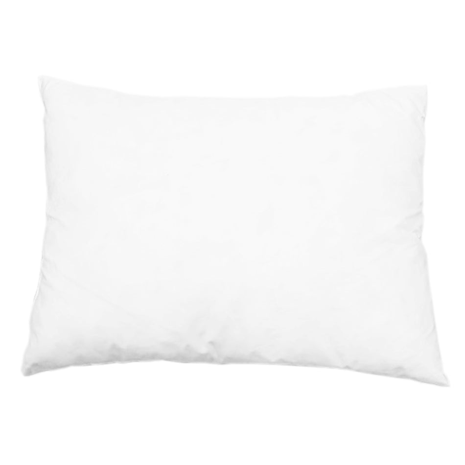 Cushion Insert at Pigott's Store