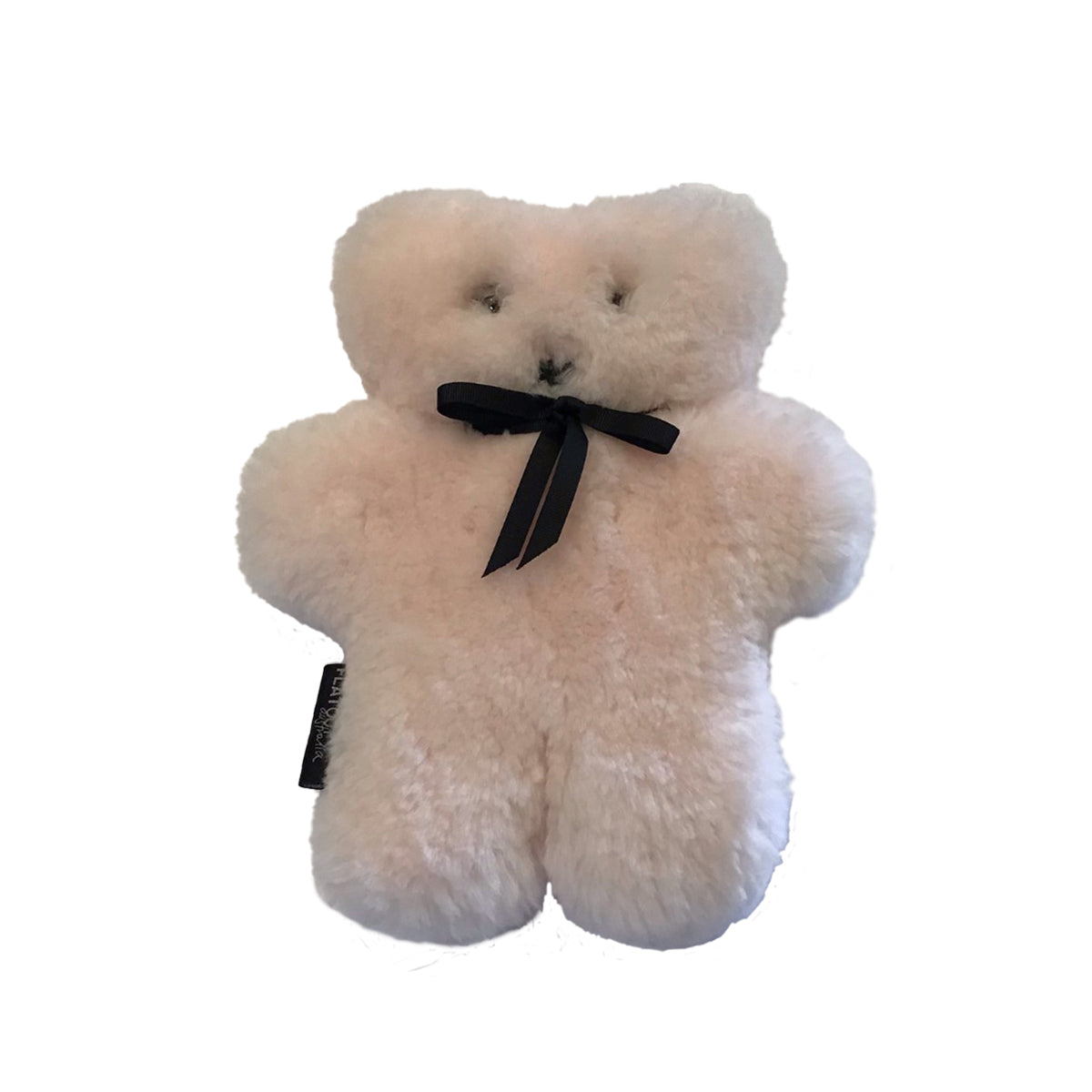 Flat Out Bear small at Pigott's Store