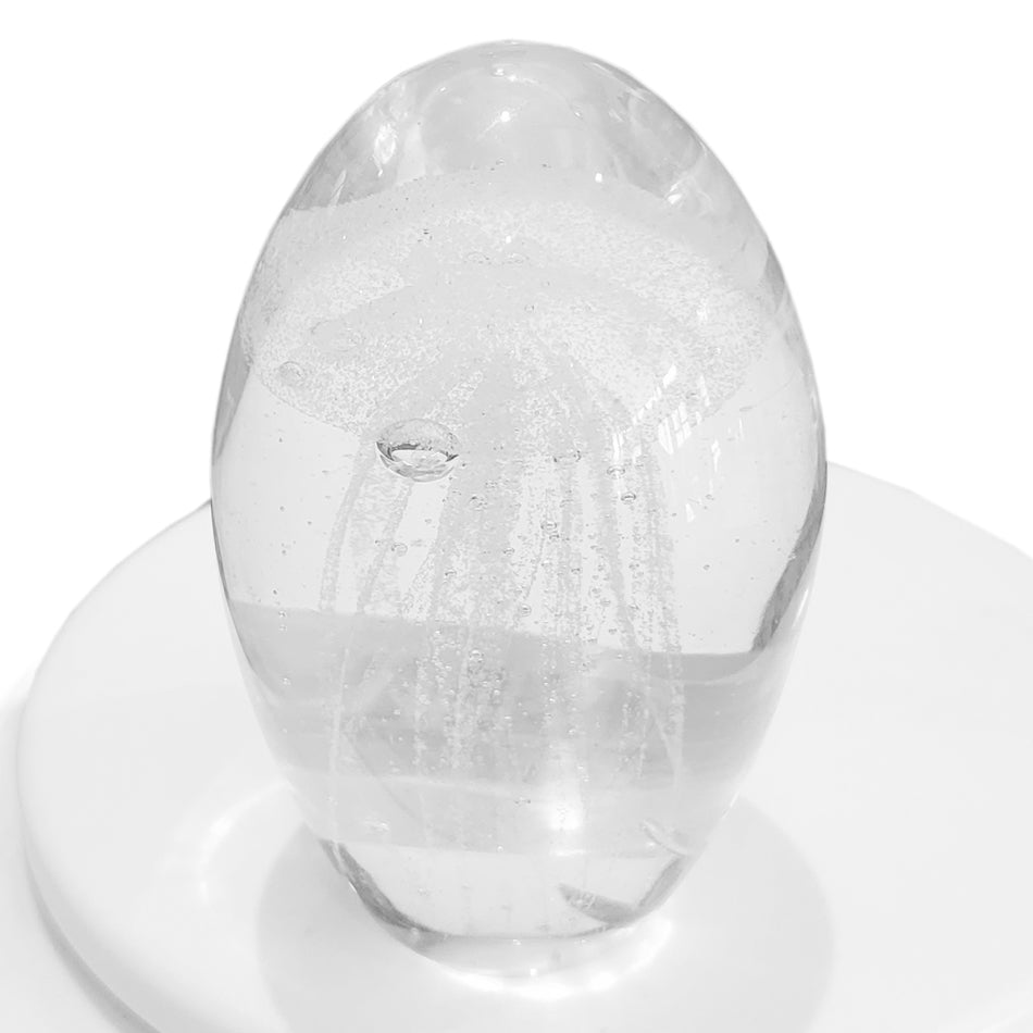 Jelly Fish White at Pigott's Store