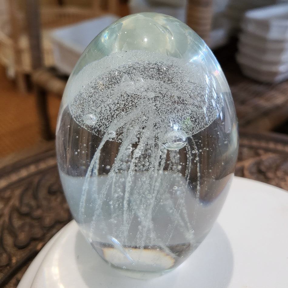 Jelly Fish White at Pigott's Store