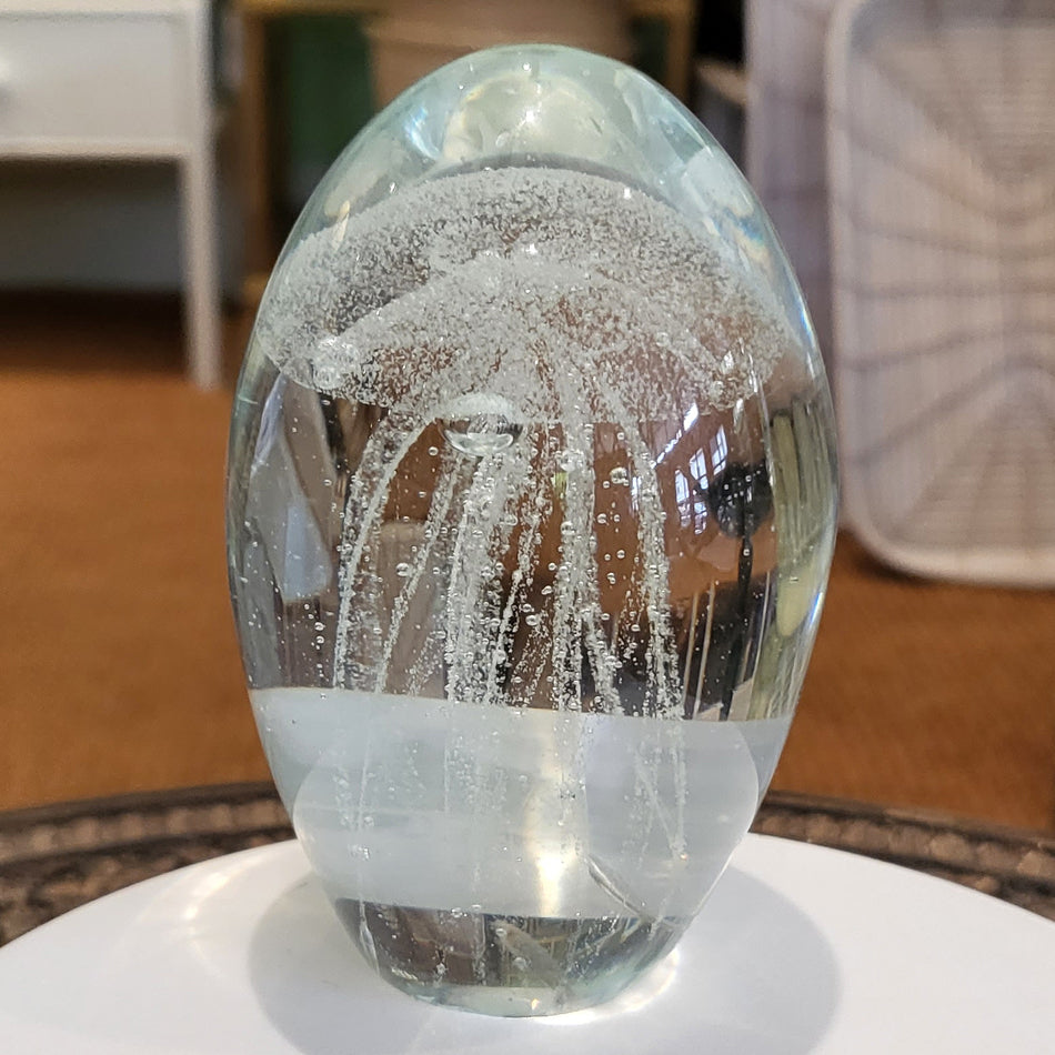 Jelly Fish White at Pigott's Store