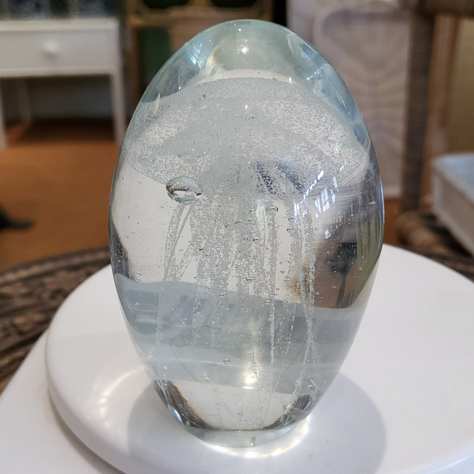 Jelly Fish White at Pigott's Store