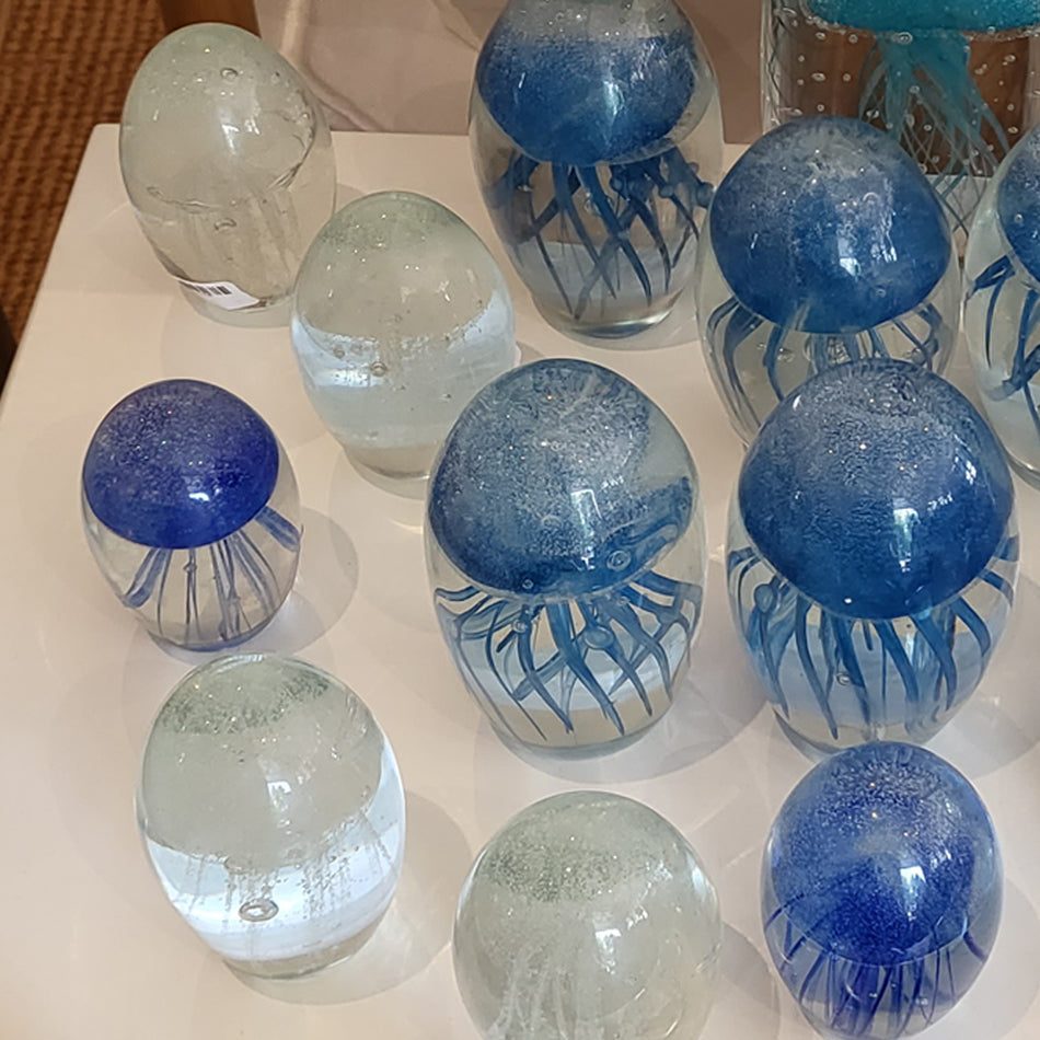 Jelly Fish White at Pigott's Store