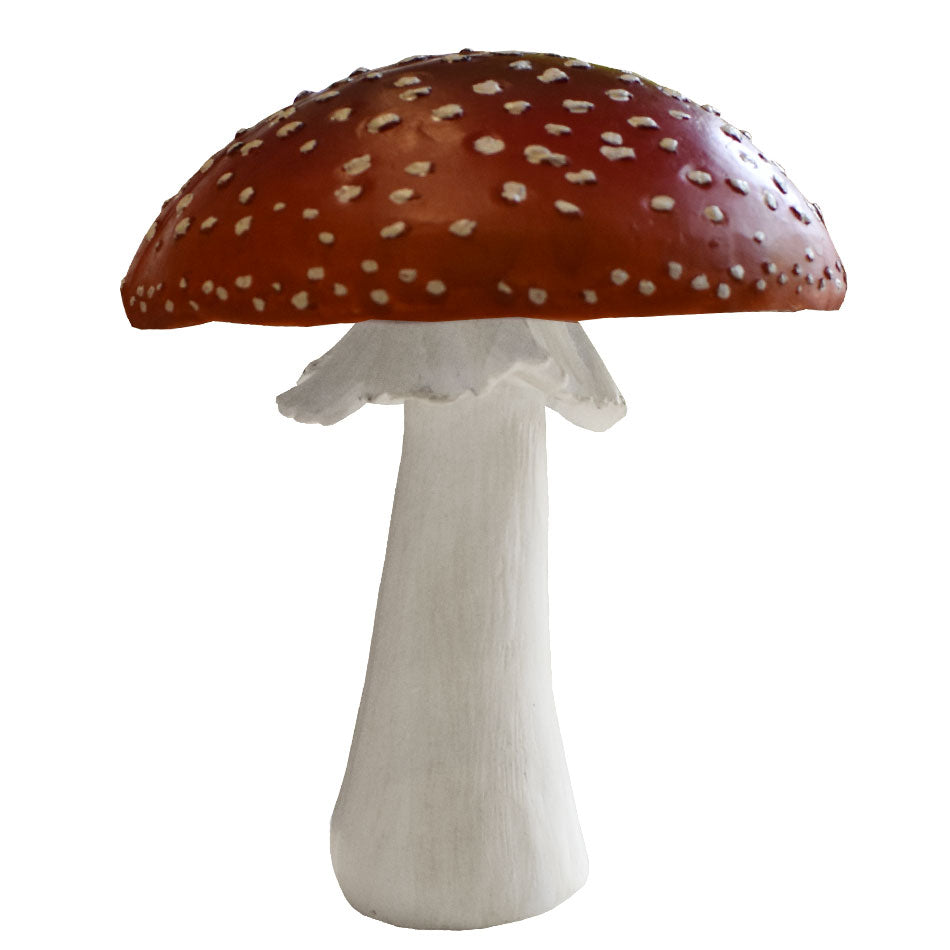 Amanita Mushroom