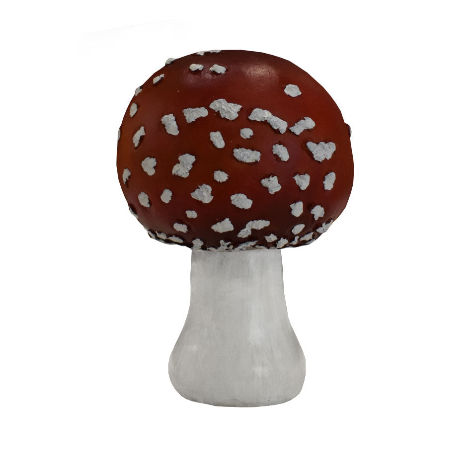 Amanita Mushroom