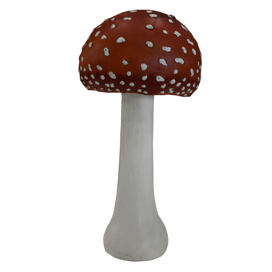 Amanita Mushroom