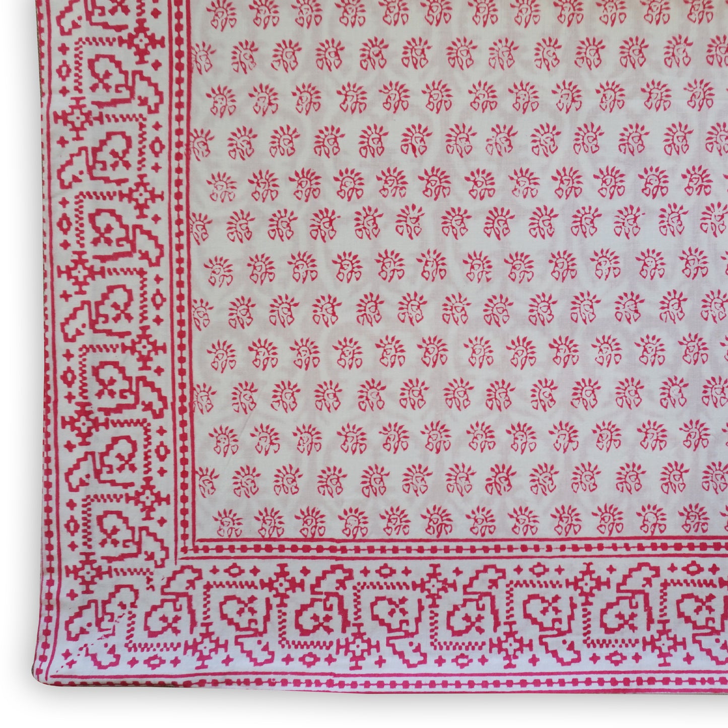 Sally Border Cushion Cover at Pigott's Store