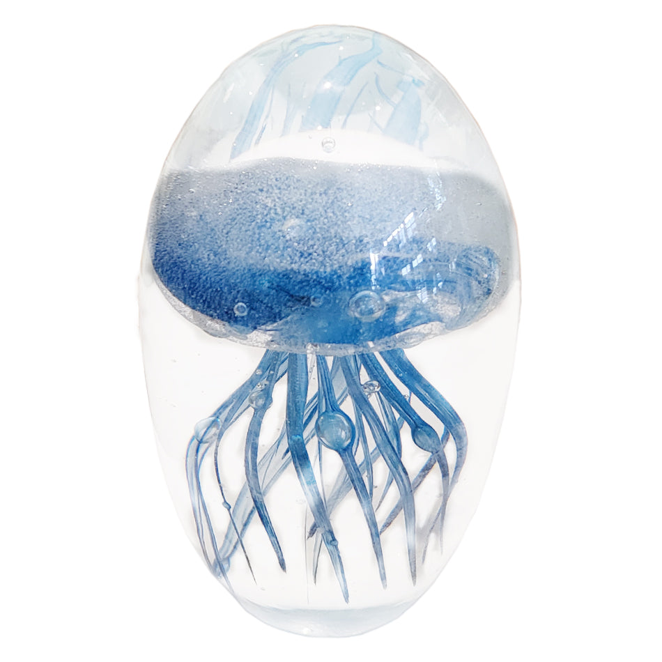 Jelly Fish Blue at Pigott's Store