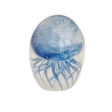 Load image into Gallery viewer, Jelly Fish Blue at Pigott&#39;s Store