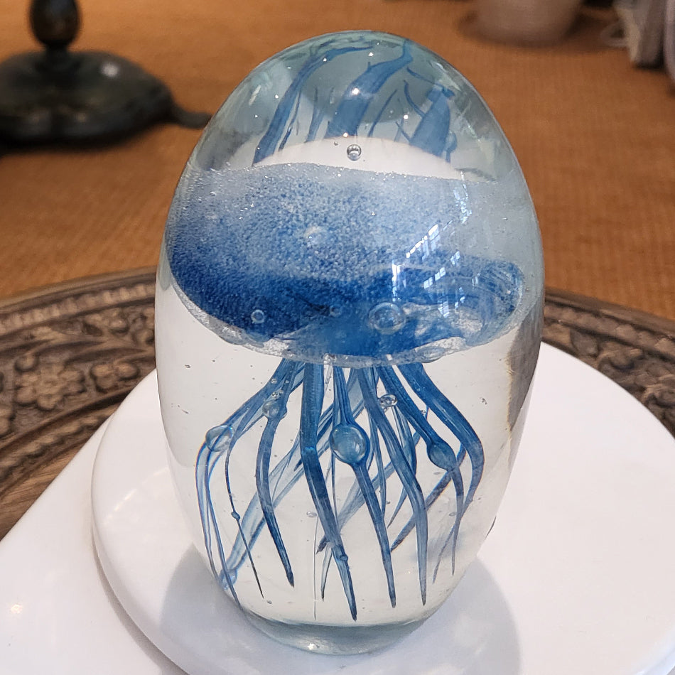 Jelly Fish Blue at Pigott's Store
