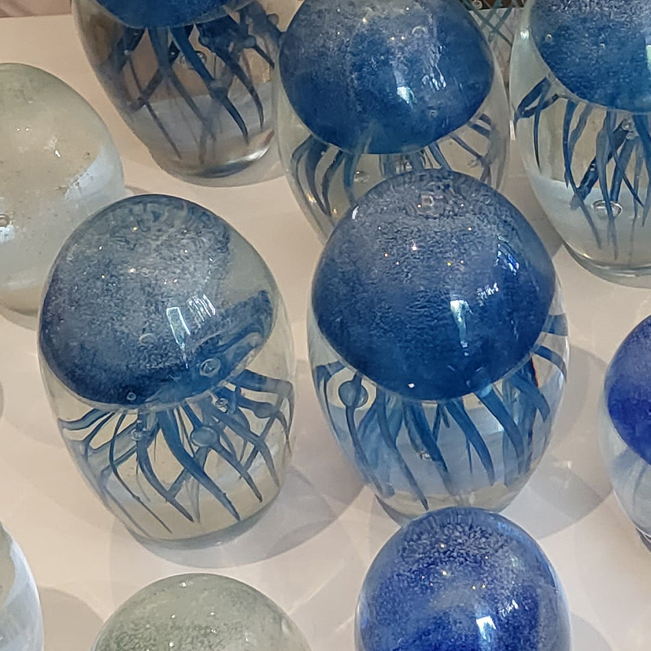 Jelly Fish Blue at Pigott's Store