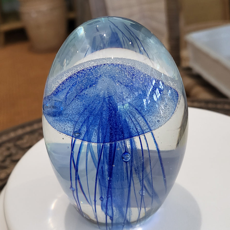 Jelly Fish Blue at Pigott's Store