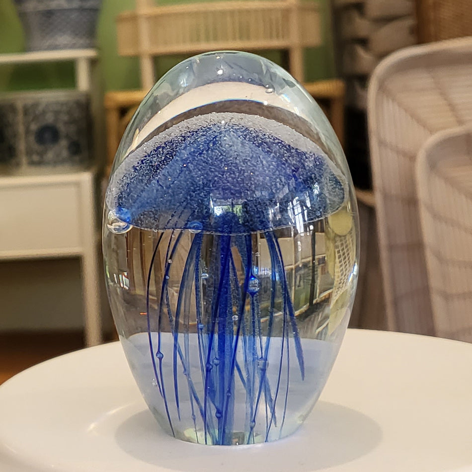 Jelly Fish Blue at Pigott's Store
