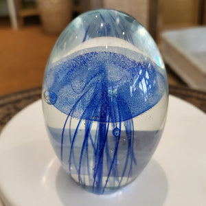 Jelly Fish Blue at Pigott's Store