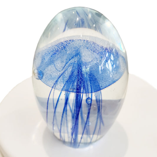 Jelly Fish Blue at Pigott's Store