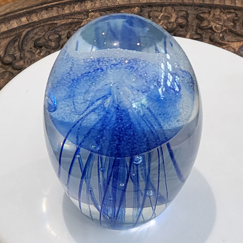 Jelly Fish Blue at Pigott's Store