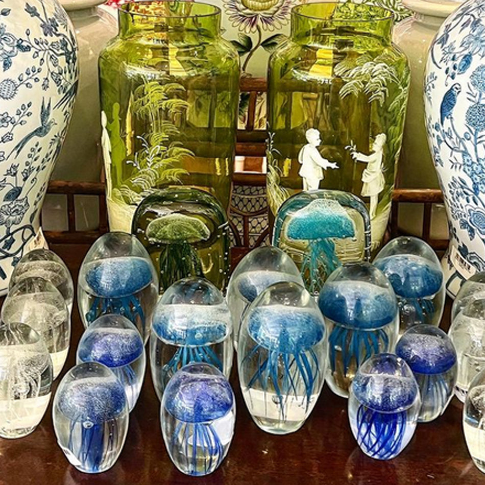 Jelly Fish Blue at Pigott's Store