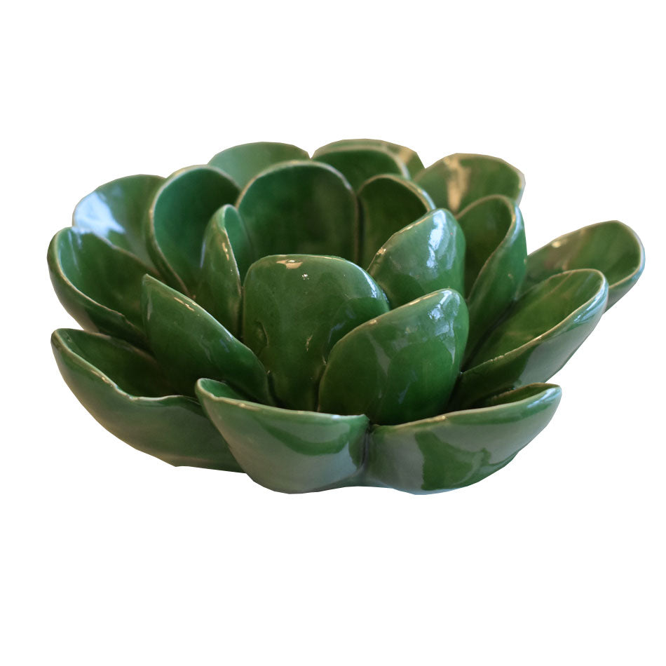 Candle Holders Succulent Votives at Pigott's Store